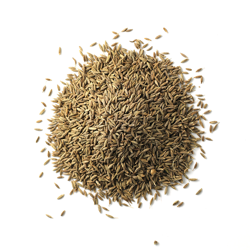 Cumin Seeds