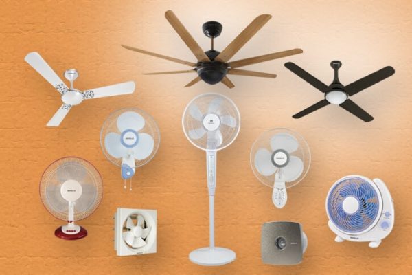 Electricals(fans)